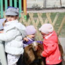 Húsvét a Pillangó Óvoda és Minibölcsiben 