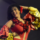 XI. Szigetköz ízei, Vármegye borai Fesztivál 2. nap Színpad