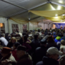 Szulák Andrea - Szeretni bolondulásig (Fotó: Horváth Attila)