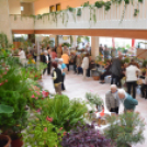 Legszebb konyhakertek (Fotó: Nagy Mária)