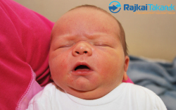 Zsigmond Zalán, 4210 gr. Feketeerdő 