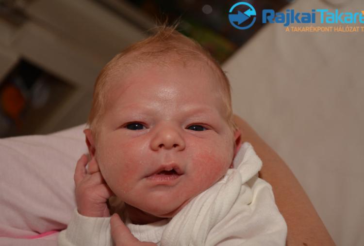 Buday Dávid, 3620 gr. Halászi