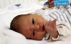 Rigó Mátyás, Mosonmagyaróvár