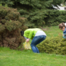 Szemét szedés (Fotó: Nagy Mária)