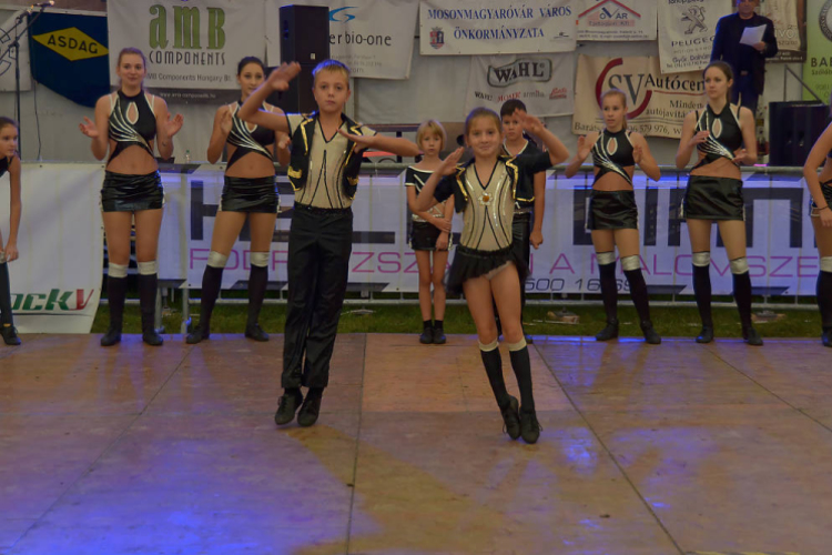 Szigetköz ízei, Vármegye borai Fesztivál (vasárnap) (Fotó: Horváth Attila)