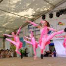 Szigetköz ízei, vármegye borai fesztivál / VÁRMEGYE SZÉPE - VÁRMEGYE HANGJA (Fotó: Horváth Attila)