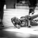 Ipress Center-Vác – Mosonmagyaróvári Kézilabda Club SE 29-27 (17-15)