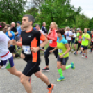 XII. Greiner Szigetköz Minimaraton (Fotó: Horváth Attila)