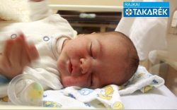 Kis Kornél Levente, Csorna