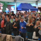 VII. Szigetköz ízei, Vármegye borai fesztivál péntek 2. (Fotó: Nagy Mária)