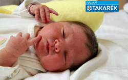 Kovács Hédi, Fertőszéplak