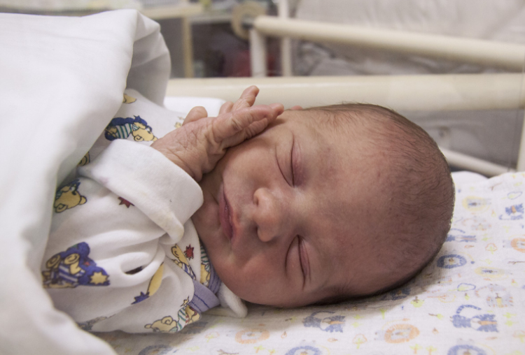 Dornstadter Ábel, Mosonmagyaróvár