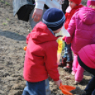 Faültetés óvodásokkal (Fotó: Nagy Mária)