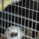 A Pillangó Óvoda és Mini Bölcsöde közös húsvétolása a Mosonmagyaróvári Mentőszolgálat gyermekeivel