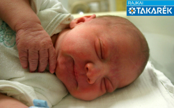 Varga András, Csorna