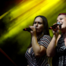 Tiszta Amerika - Vár-tó party