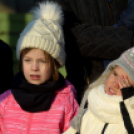 Madaras nap a Pillangó Óvoda és Mini Bölcsődében 