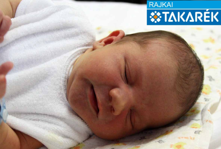 Hegyi Kristóf Róbert, Mosonmagyaróvár