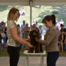 XII. Szigetköz ízei, Vármegye borai Fesztivál 3. nap