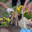 VI. Apró kezek, Csodakertek Gyermek Kertépítő verseny (Fotó: Bánhegyi István)