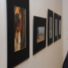 Nagy pillanatok - fotókiállítás (Fotó: Tomasits Károly)