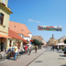 Belvárosi virágút (Fotó: Nagy Mária)