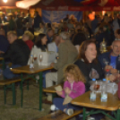 XI.Szigetköz ízei, Vármegye borai Fesztivál 1. nap