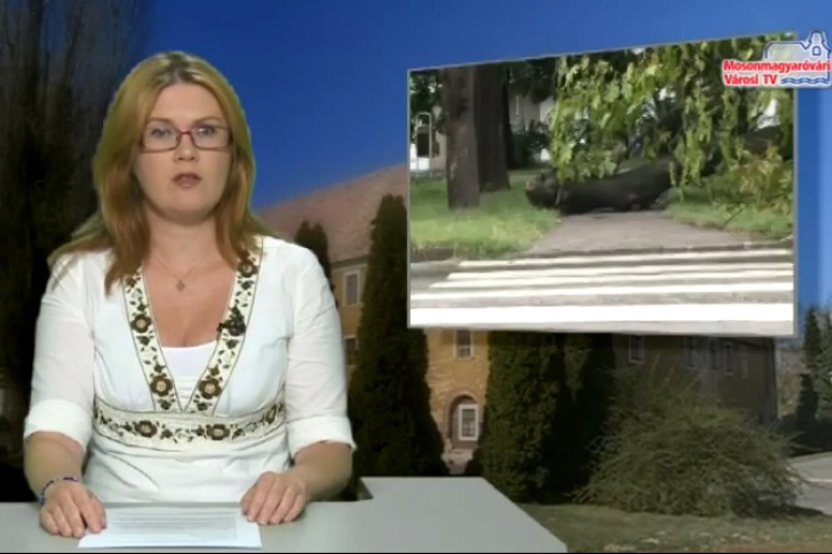 Szerda esti híradó