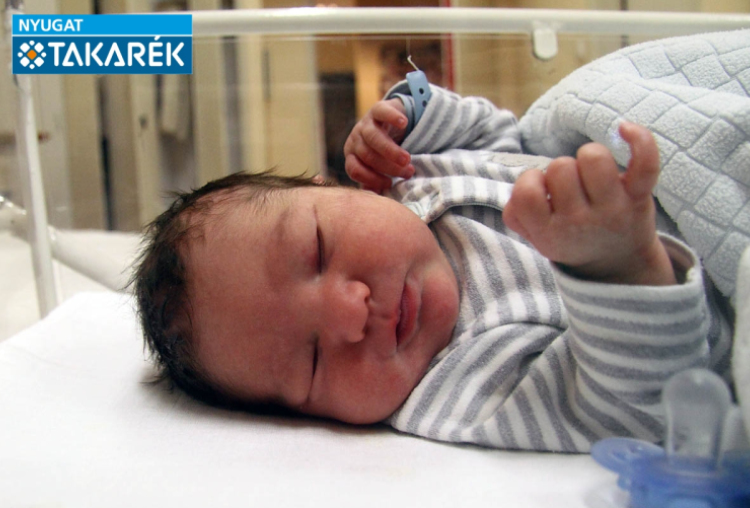 Mándi Nándor, Jánossomorja