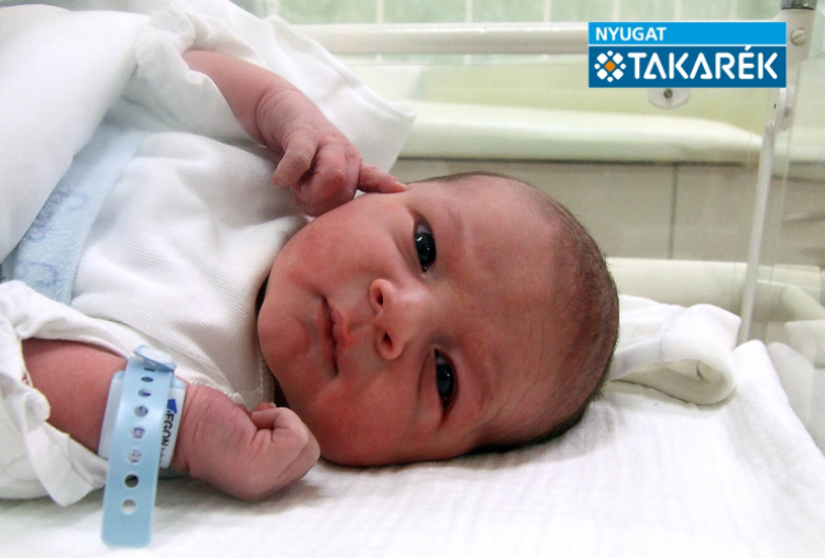 Hegedűs Kornél, Jánossomorja