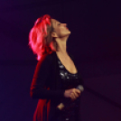 XI. Szigetköz ízei, Vármegye borai Fesztivál 2. nap Színpad