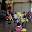 Szigetköz ízei, Vármegye borai Fesztivál 3 nap, 140 Éves Mosonmagyaróvár Város Tűzoltósága (Fotó: Bánhegyi István)