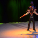 Jótékonysági Műsor