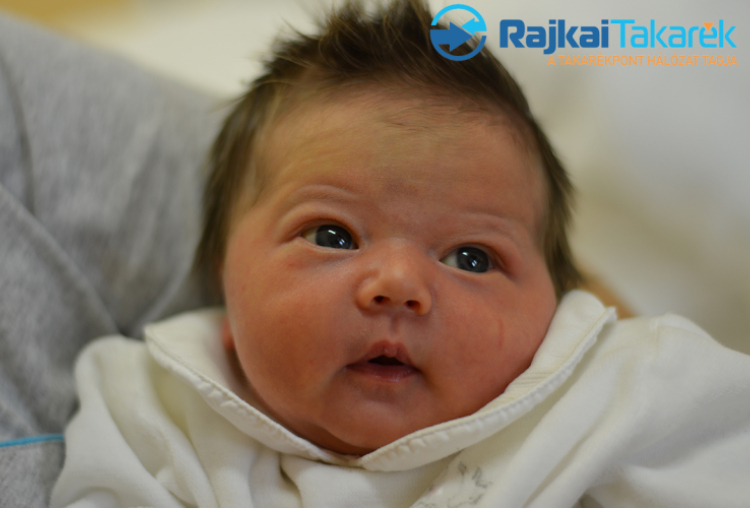 Varga Hanna, Halászi