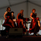 Első Engler Családi Nap (Fotó: Horváth Attila)