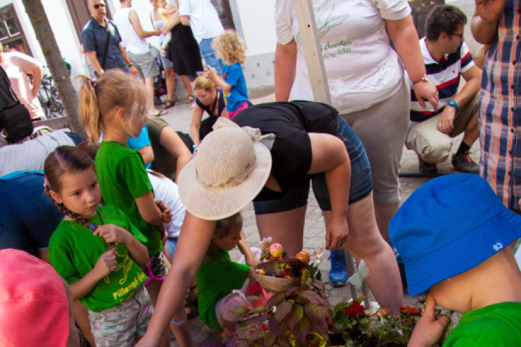 Apró Kezek, Csodakertek