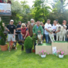 CAC kutyakiállítás (Fotó: Nagy Mária)