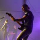 XII. Szigetköz ízei, Vármegye borai Fesztivál 2. nap