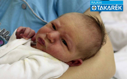 Hancz Olivér, Kisbodak