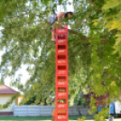 Hédervári sport és egészségnap (Fotó: Nagy Mária)