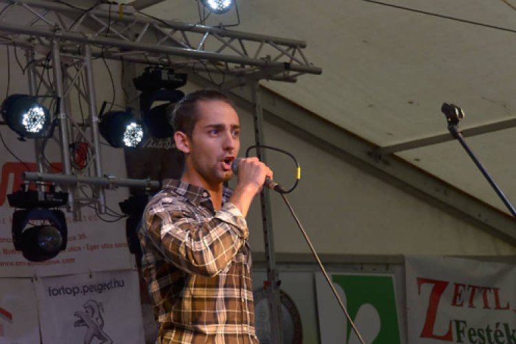 Szigetköz ízei, Vármegye borai Fesztivál (vasárnap) (Fotó: Horváth Attila)