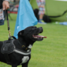 Mosonmagyaróvári Kutyakiállítás