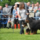 CAC kutyakiállítás (Fotó: Nagy Mária)