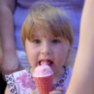 VII. Apró kezek, csodakertek Gyermek Kertépítő verseny