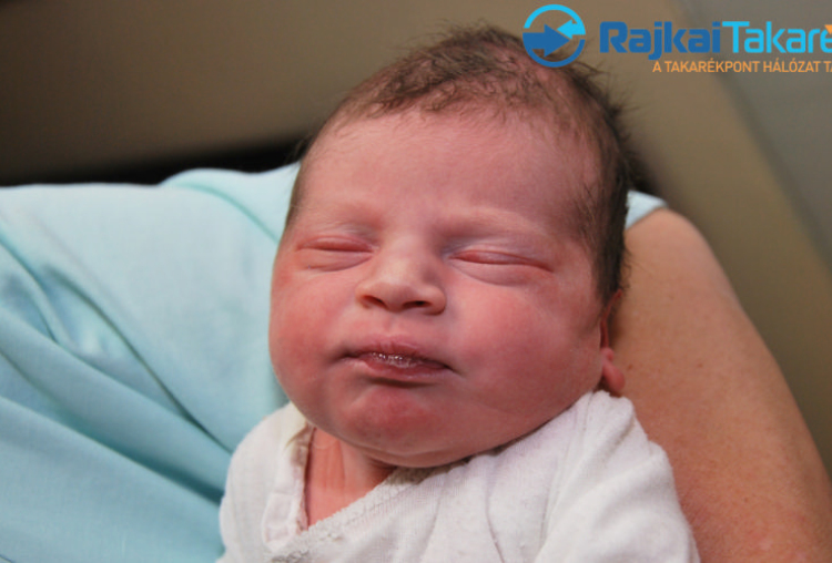 Palkó Dániel, 3540 gr. Csorna