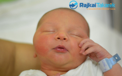 Sipos Gergő, Jánossomorja