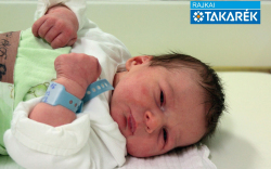 Tóth Ákos, Bősárkány