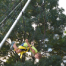 Városközpontiak napja - péntek (Fotó: Nagy Mária)