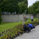 Virágosítás a városközpontban