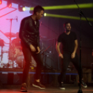 XII. Szigetköz ízei, Vármegye borai Fesztivál 2. nap